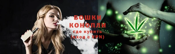 тгк Вяземский